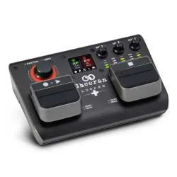 Looper+ Loop Pedal - 2