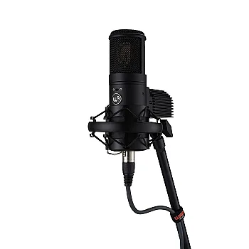 Wa-8000 | Klasik 67 Tasarımlı Profesyonel Tüplü Stüdyo Kondenser Mikrofon - 2