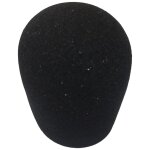 2010 Wind Screen - 1