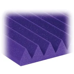 2SF24PUR - 