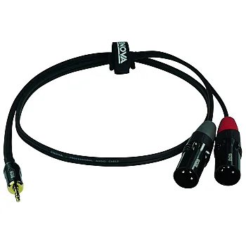 3.5 mm Erkek - XLR 2 adet Erkek 3Metre | Kablo EC-A3-PSMXLM-3 - 2