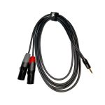 3 m 3.5 mm Erkek - Erkek XLR x2 Kablo EC-A3-PSMXLM-3 - 1