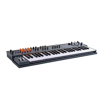 MiniFreak 49-Tuş Algoritmik Synthesizer - 4