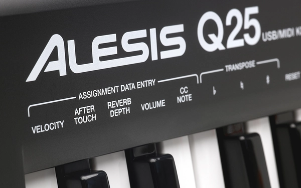 alesis_q_25_life_style_1