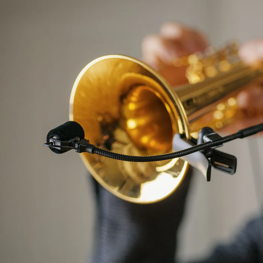 neumann_mc_6_life_style_1