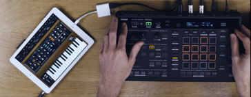 pioneer_squid_life_style_1(2)