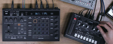 pioneer_squid_life_style_1