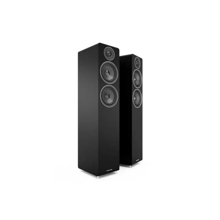 AE109 FLOORSTANDİNG SPEAKER ( Black ) - 1