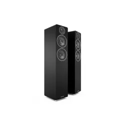 AE109 FLOORSTANDİNG SPEAKER ( Black ) - 