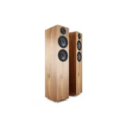 AE109 FLOORSTANDİNG SPEAKER ( Walnut ) - 