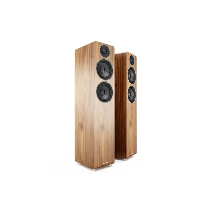 AE109 FLOORSTANDİNG SPEAKER ( Walnut ) - 1