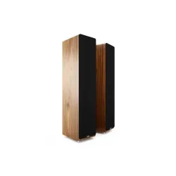 AE109 FLOORSTANDİNG SPEAKER ( Walnut ) - 2