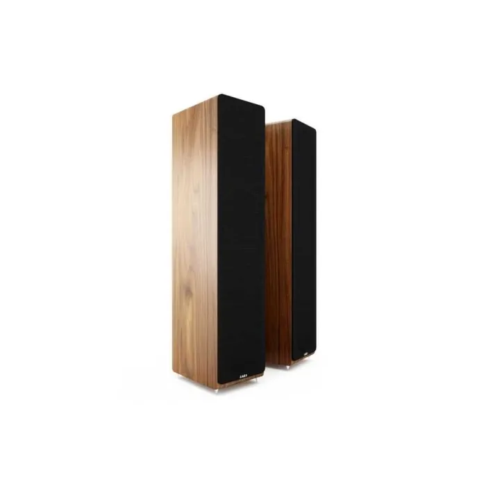 AE109 FLOORSTANDİNG SPEAKER ( Walnut ) - 2