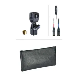 AE2500 Enstrüman Mikrofonu - 4