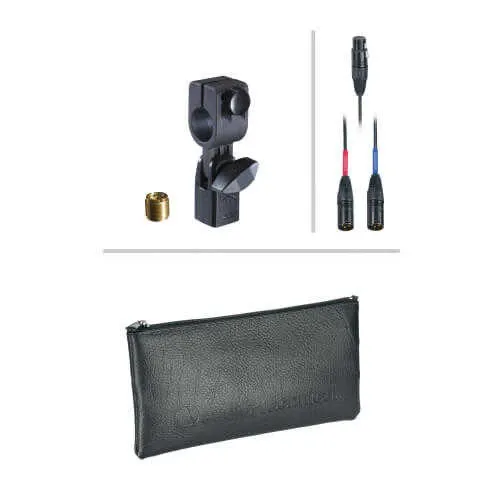 AE2500 Enstrüman Mikrofonu - 4