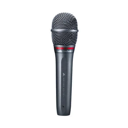 AE6100 Dinamik Mikrofon - 2