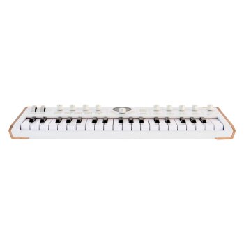 AstroLab - Stage Synthesizer / 37 Tuş - 3