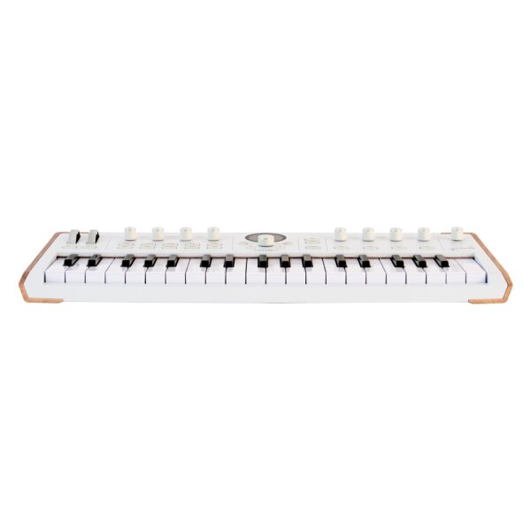 AstroLab - Stage Synthesizer / 37 Tuş - 3