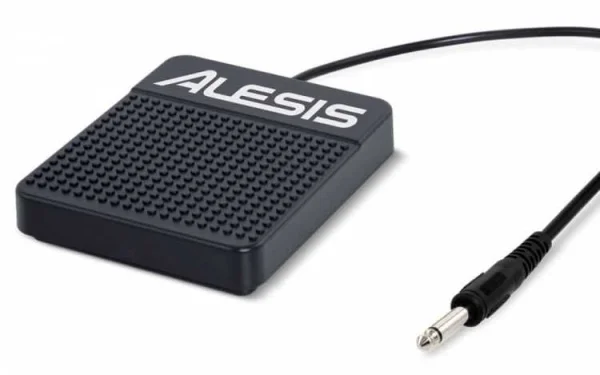 ASP1 Sustain Pedal - 2