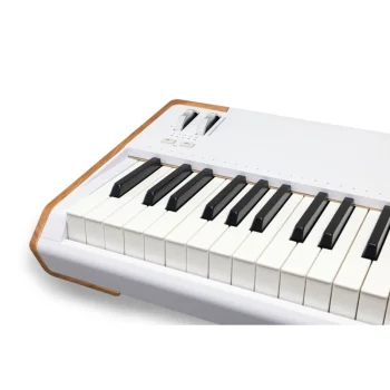 AstroLab - Stage Synthesizer / 88 Tuş - 6