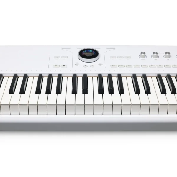 AstroLab - Stage Synthesizer / 88 Tuş - 7
