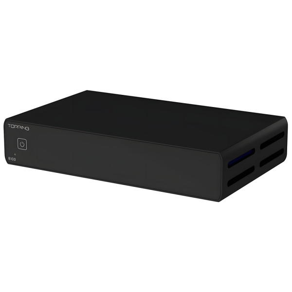 B100 Mono Power Amplifier | Black - 1