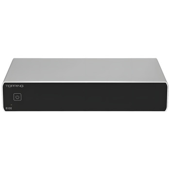 B100 Mono Power Amplifier | Silver - Topping Audio