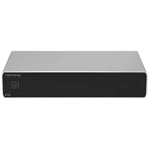 B100 Mono Power Amplifier | Silver - 1