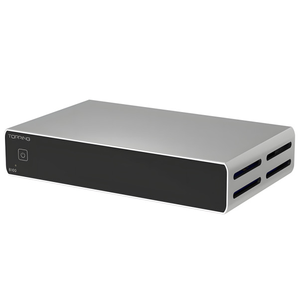 B100 Mono Power Amplifier | Silver - 2