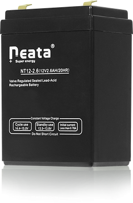 BAT1 EPA40 İçin Yedek Batarya - 2