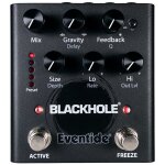 Blackhole Reverb Pedal - 1