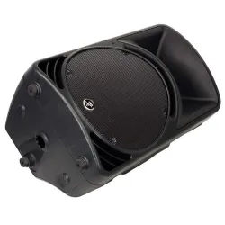 C300Z 12'' Pasif Hoparlör - 4