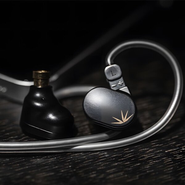 CHU II DSP Type-C In-ear Headphone - 5