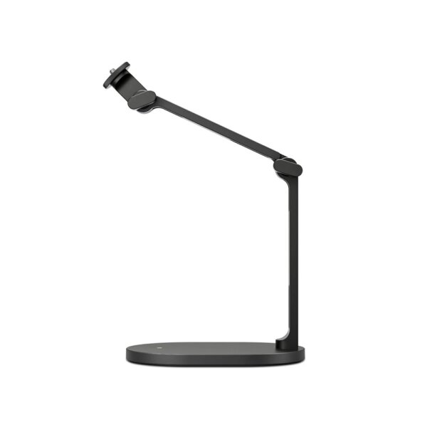 DS2 | Mikrofon Standı - 1