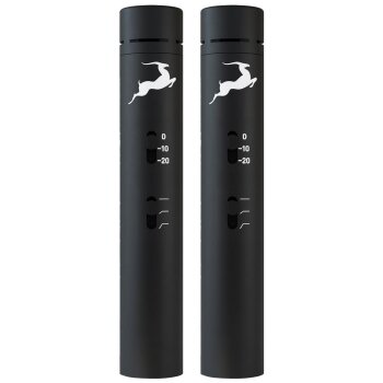 Edge Note Bundle | 2 Pack - Antelope Audio