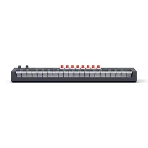 Novation FLkey 37 MKii - Midi Klavye - 5