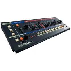 JU-06A Boutique Serisi JUNO-106/Juno-60 Analog Ses Modülü - 1