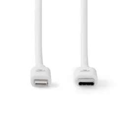 Lightning - USB-C Erkek 2 m Kablo - 2