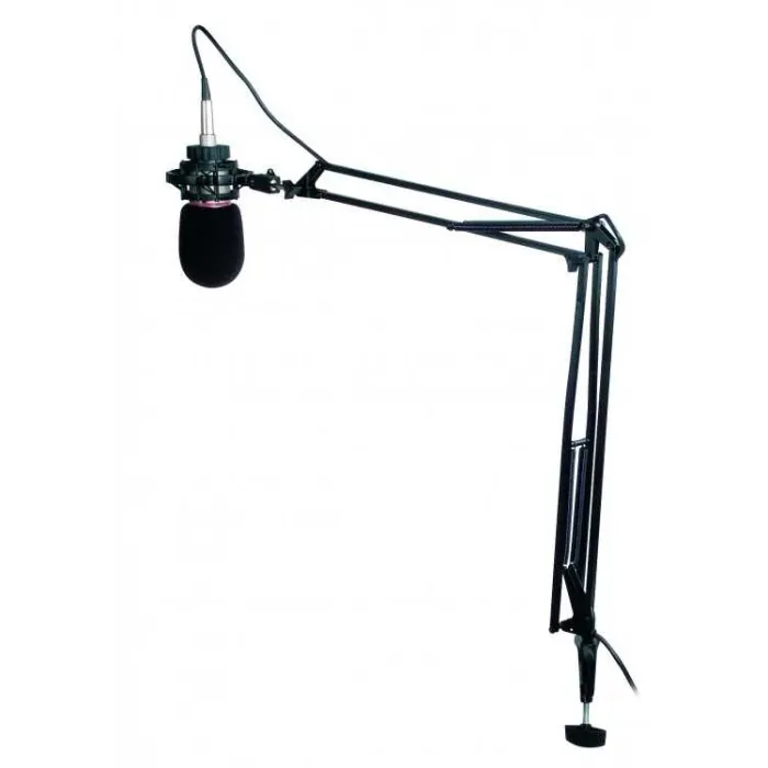 Mikrofon Stand + XLR kablo - 1