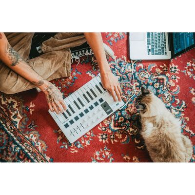 MiniLab 3 Kompakt MIDI Klavye (Siyah) - 4