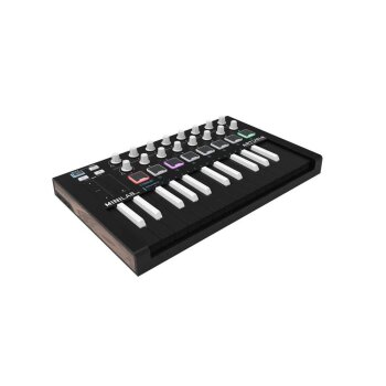 MiniLab MK II Inverted Edition Midi Klavye - Arturia