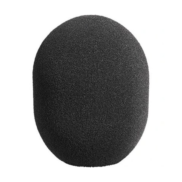 WS 2 / Windscreen - Neumann