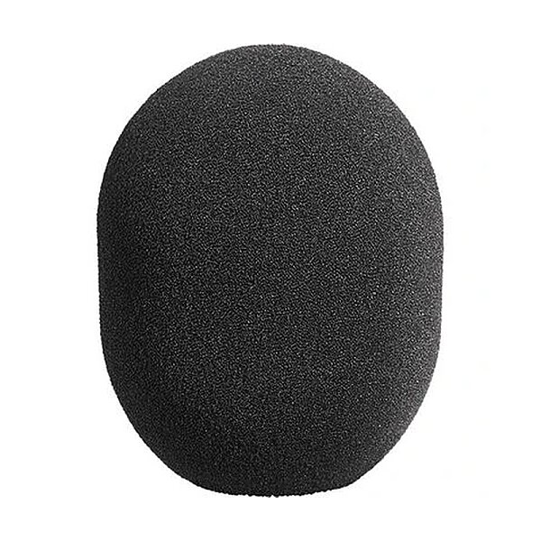 WS 2 / Windscreen - 1