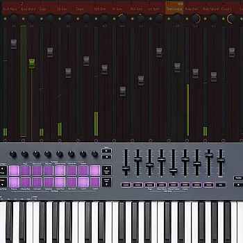 Novation FLkey 61 MIDI Klavye - 6
