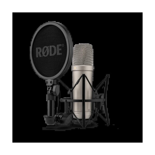 NT1-5th Generation Silver - 4