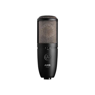 P420 Kondenser Mikrofon