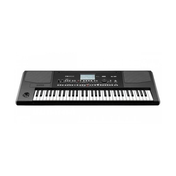 PA300 Professional Arranger Keyboard - KORG