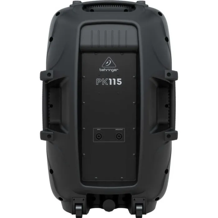 PK115 800W Pasif Taşınabilir Hoparlör - 4
