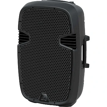 PK115 800W Pasif Taşınabilir Hoparlör - 2