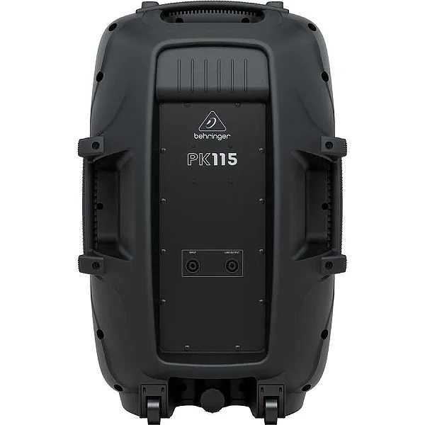 PK115 800W Pasif Taşınabilir Hoparlör - 4